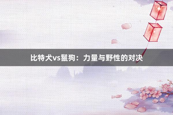 比特犬vs鬣狗：力量与野性的对决